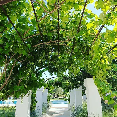 Masseria Almadava Frühstückspension Polignano a Mare